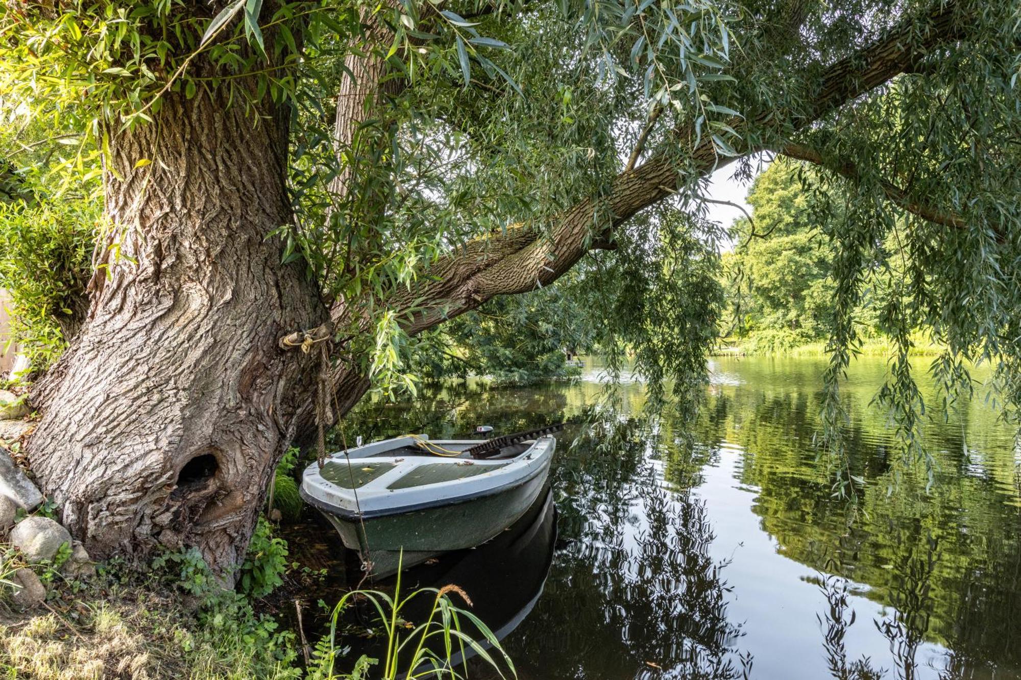 Ferienwohnung Am Parksee Bad Bodenteich Екстер'єр фото